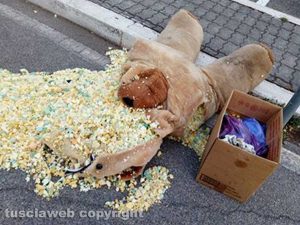 Viterbo - Peluche sventrato davanti alla primaria della Quercia