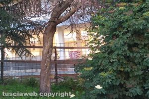 Viterbo - Albero morto in via Santa Lucia