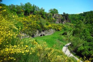 Vasanello - Alla riscoperta del vecchio Castrum Palazzolo