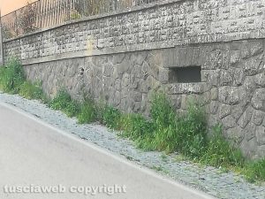 Montefiascone - erbacce a via Cannelle