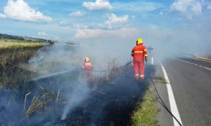 Tarquinia - Incendio sulla sp Lupo Cerrino - Intervento dell'Aeopc
