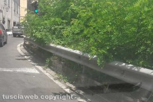 Viterbo - Il semaforo immerso nel verde a Bagnaia