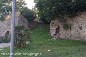 Viterbo - Muro crollato sul prato