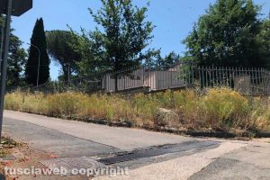Viterbo - Incuria a via Della fiera