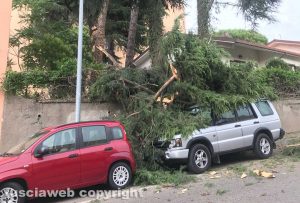 Viterbo - Via Monti Cimini - L'albero che si è abbattuto sulla macchina
