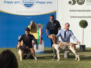 50esima esposizione internazionale canina città di Viterbo