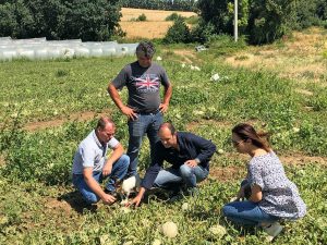 Montalto - I danni del maltempo