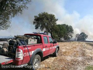 Viterbo - Sterpaglie in fiamme sulla Tuscanese