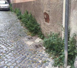 Viterbo - Erbacce in via delle Mura
