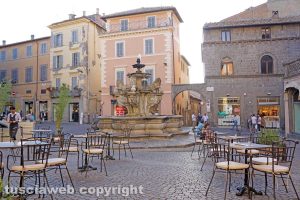 Viterbo - Il caffè Schenardi
