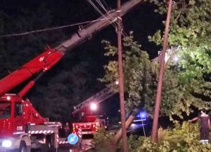 Caduta alberi, intervento dei vigili del fuoco