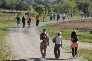 Cultura - Una passata edizione di CamminainTuscia