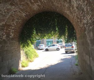 Viterbo - Erbacce nel sottopasso di via Vicenza