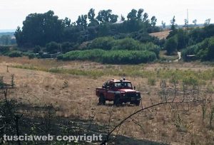 Montalto di Castro - Incendio sulla strada Marina
