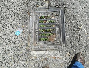 Viterbo - Tombini otturati vicino al passaggio a livello