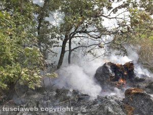 Viterbo - Incendio di bosco e sterpaglie a Fastello