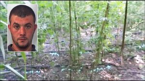Operazione antidroga Giardini Segreti - Nel riquadro: Emanuele Mancuso