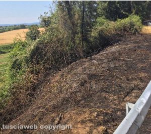 Lubriano - L'incendio in località Castiglione