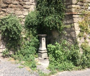 Viterbo - Via Vallecupa - Erbacce sulle mura