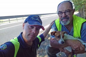 Il cane salvato dai volontari Aeopc
