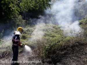 Incendio di sterpaglie