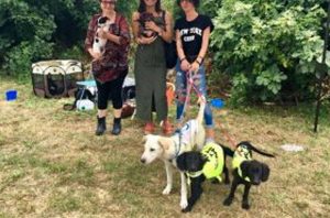 Viterbo - Alcuni cani dell’associazione Musi sereni