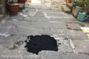 Viterbo - Riparazione sommaria a via San Tommaso