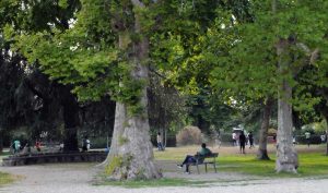 Viterbo - Pratogiardino "Lucio Battisti"