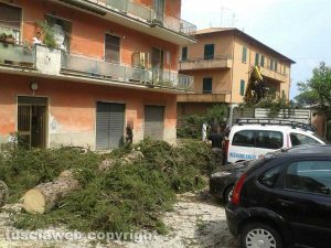 Capranica - Albero caduto in un condominio