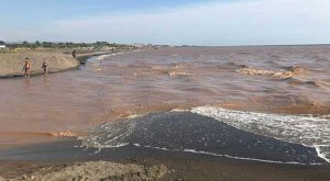 Tarquinia - Allarme "mar rosso"