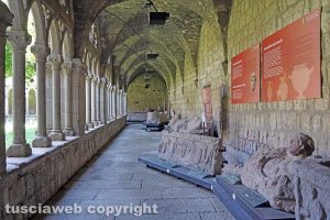 Viterbo - Il museo civico