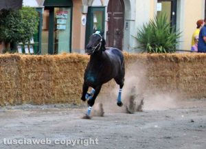 Ronciglione - La corsa a vuoto 2018 - L'arrivo di Ninfa da Clodia in piazza