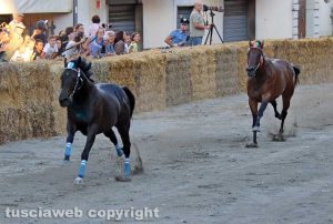 Ronciglione - La corsa a vuoto 2018 - Ninfa da Clodia in testa