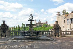 Viterbo - La fontana di palazzo dei Priori