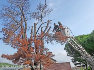Montefiascone - L'intervento dei vigili del fuoco