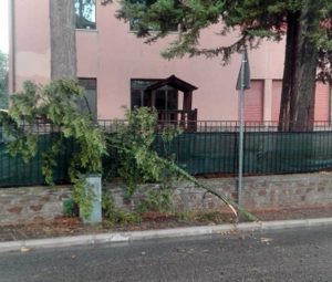 Rami spezzati alla scuola d'infanzia di Grotte Santo Stefano