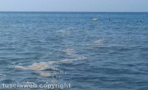 Scia nelle acqua di Montalto