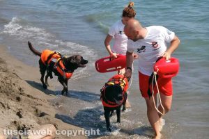 Montalto di Castro - Prove di salvataggio per i cani bagnino