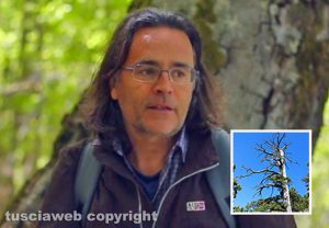 Il professor Gianluca Piovesan