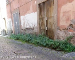 Viterbo - Il degrado in via Cieca