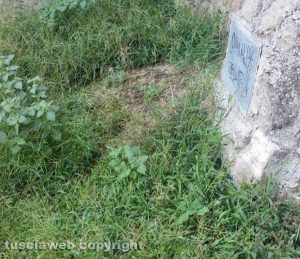 Viterbo - Pianoscarano - Erbacce in via delle Caprarecce