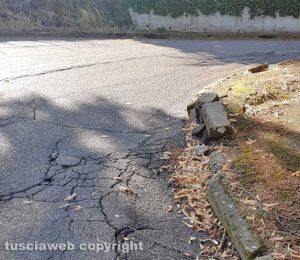 - Via Cardinal Ridolfi piena di buche ed erbacce
