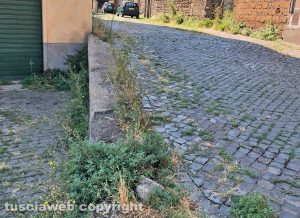 Viterbo - Via Sant'Andrea