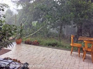 Ronciglione - Maltempo - Albero abbattuto