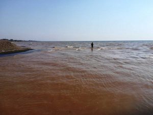 Tarquinia - La foce del fiume Marta