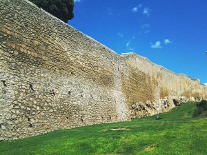 Tarquinia - Alcuni dei giardini risistematiTarquinia - Alcuni dei giardini risistemati