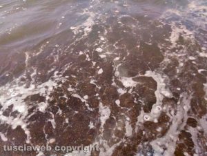 Melma a Riva dei Tarquini