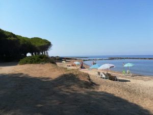 Tarquinia - La pineta e la spiaggia di San Giorgio