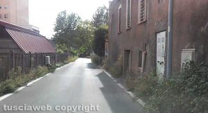 Viterbo - Erbacce in via S. Benedetto Menni