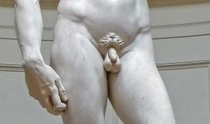 Il David di Michelangelo